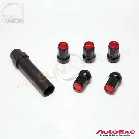 AutoExe 防盗轮圈缧丝组 C9A1-V9-770